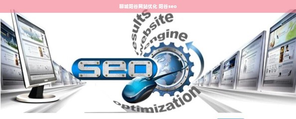 聊城陽谷網(wǎng)站優(yōu)化、SEO與計(jì)算機(jī)軟件開發(fā)銷售一體化服務(wù)解析